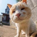徐徐徐头像