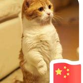 极客比利1T6头像