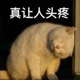 曾鹰421头像
