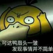 陌上云杉的个人资料头像