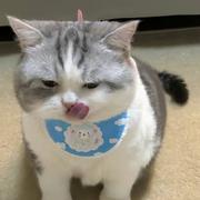 野原鑫之助55的个人资料头像