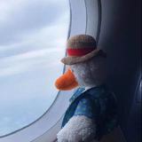 用户2699149270869头像