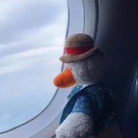 用户2699149270869头像