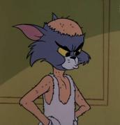 江风有耳的个人资料头像