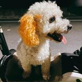 蓱蓱 头像