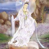 我是周周522头像