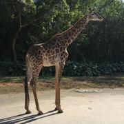 陈良的个人资料头像