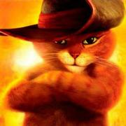 阿磁的个人资料头像