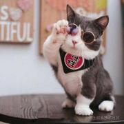 薄荷糖888的个人资料头像