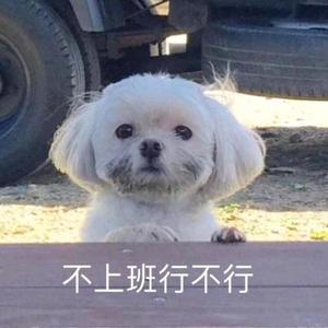 小说推荐头像