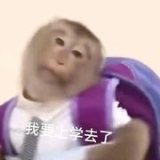 前端小吗喽的个人资料头像