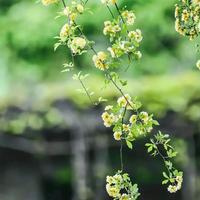 筠姐的诗和远方头像