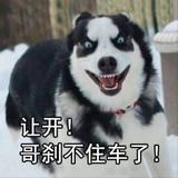 给个疼吃头像
