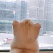 逃跑的豆豆的个人资料头像