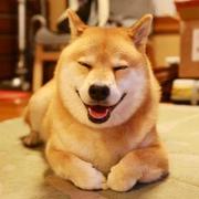 啊剁的个人资料头像