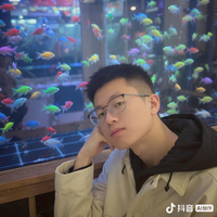 雷子总的车头像