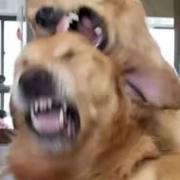 鲍小冬的个人资料头像