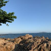 奥斯特洛夫贵头像