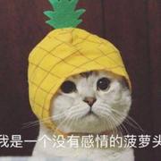 enter的个人资料头像
