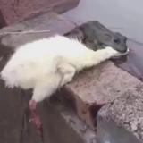 Mar丶WY头像