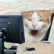 Kaaku的个人资料头像