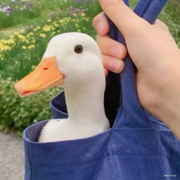 王小王_123的个人资料头像