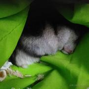 卷完然后浪的个人资料头像