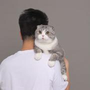 字节跳动_方应的个人资料头像