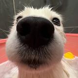 用户3373614755810头像