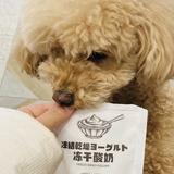 颜希萌宠公馆头像