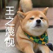 红日在修炼的个人资料头像