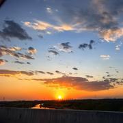 测试员周周的个人资料头像