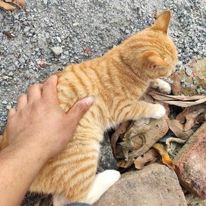 阳光总在风雨后chen88头像