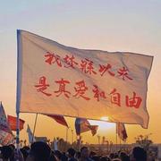 Laydown的个人资料头像