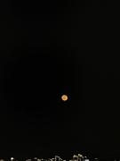 zjlwzadbb的个人资料头像