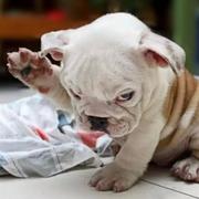 寻觅265的个人资料头像