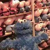你都看不见我尾灯头像