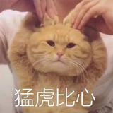 Zzz5585头像