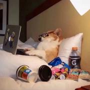 永远的神的个人资料头像