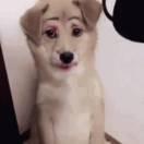 cccc就是我的个人资料头像