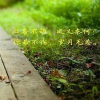走样819头像