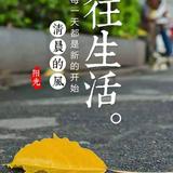 雾雨流星229头像