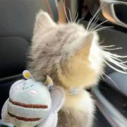 mengli的个人资料头像