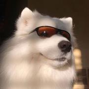 又耳啊的个人资料头像