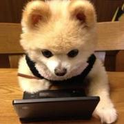 莹_小梦的个人资料头像