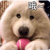 遗失的美好5229头像