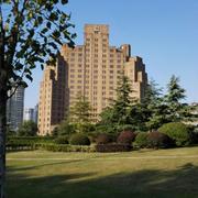 SteveShen勿忙初心的个人资料头像