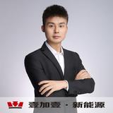 博一电车头像