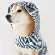 用户5207556263193的个人资料头像