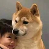 炸毛雷Sir头像